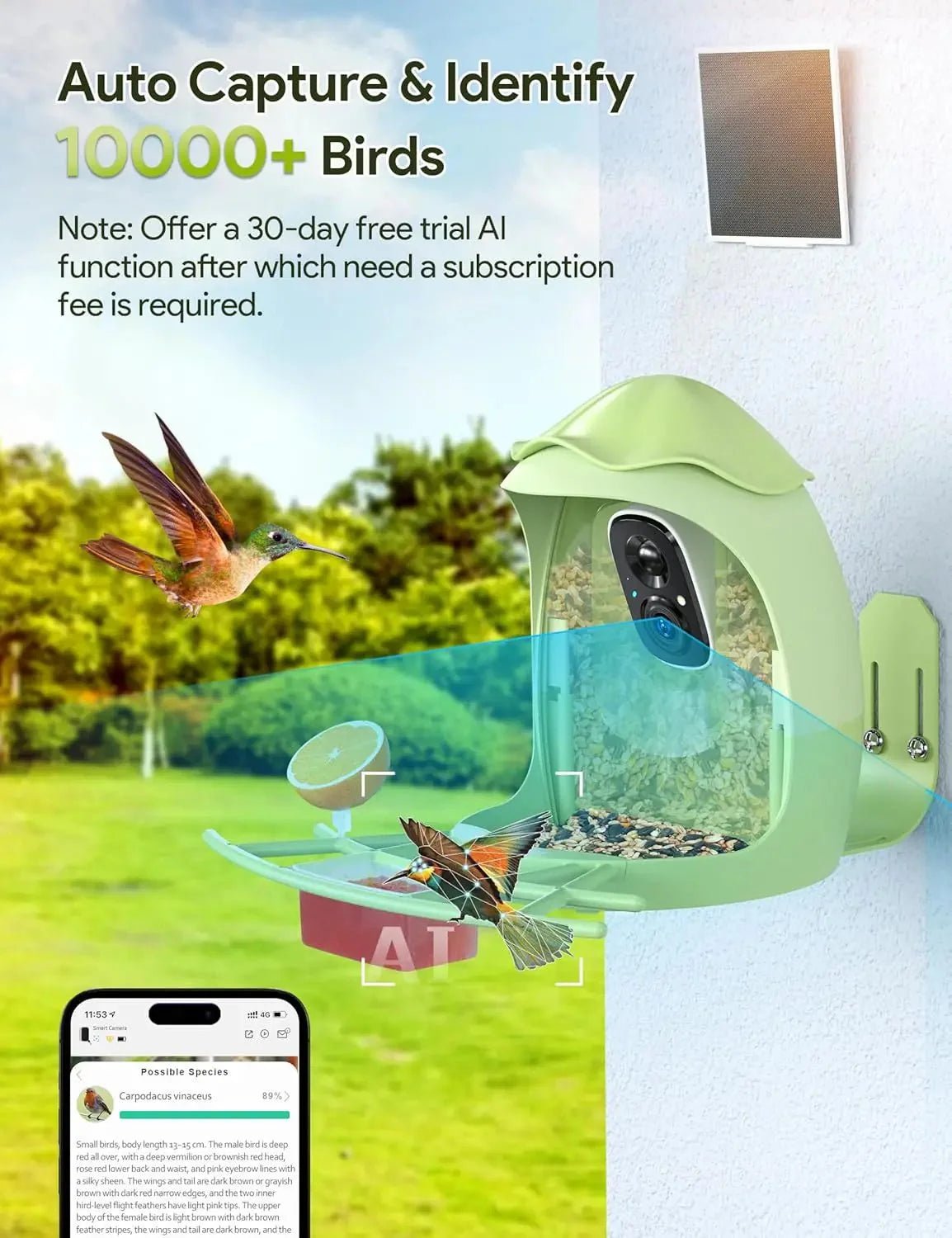 Smart Bird Feeder with Camera Solar Powered — 2K HD AI Bird ID, Wi - Fi, Motion Alerts, Weatherproof - GiftMira
