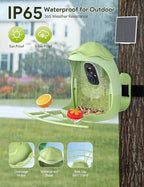 Smart Bird Feeder with Camera Solar Powered — 2K HD AI Bird ID, Wi - Fi, Motion Alerts, Weatherproof - GiftMira