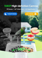 Smart Solar Bird Feeder with AI Camera 1080P HD WiFi Bird Watching Feeder Real - Time Alerts Outdoor - GiftMira