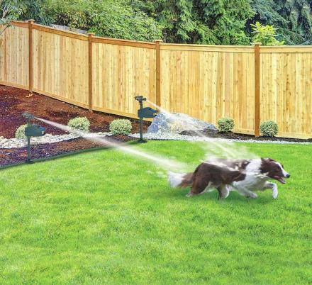Solar - Powered Motion - Activated Animal Repellent | Humanely Guard Your Garden - GiftMira