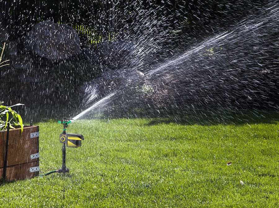 Solar - Powered Motion - Activated Animal Repellent | Humanely Guard Your Garden - GiftMira