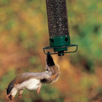Squirrel - Proof Bird Feeder Spinning Tube – 4 Ports 5lb Capacity Weight Activated Outdoor Hanging - GiftMira
