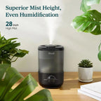 Top - Fill Humidifier 2.5L 360° Nozzle Auto Shut - Off Quiet Cool Mist Baby Bedroom Plants Black - GiftMira